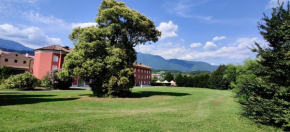 Marco Polo Vittorio Veneto